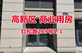 序号01：红松路289号1-1